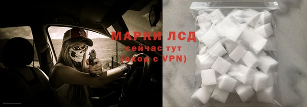 соль ск Инсар