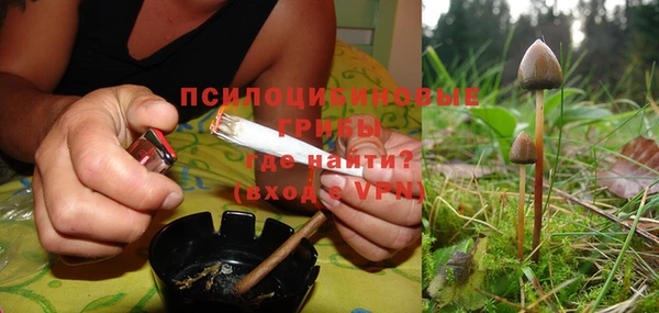круглые Алзамай